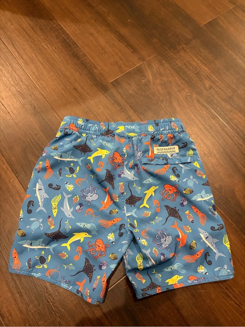 Fair Harbor Reef Friends Swim Trunks Boys Small